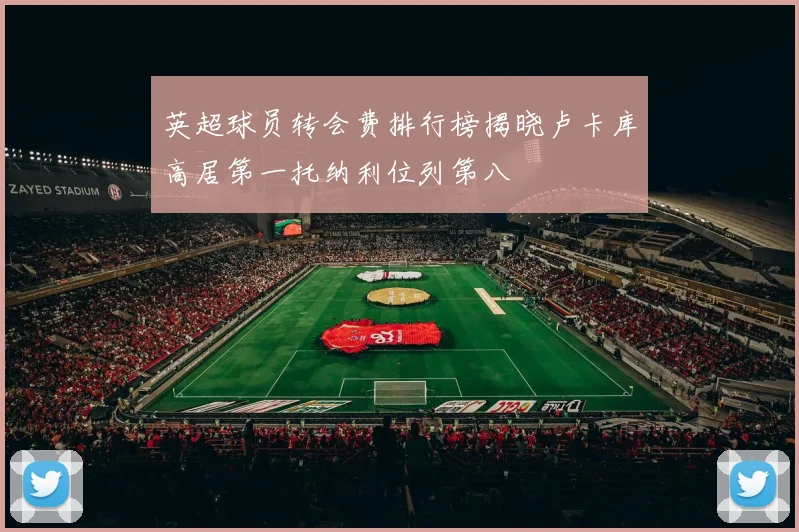 英超球员转会费排行榜揭晓卢卡库高居第一托纳利位列第八
