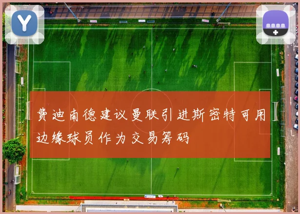 费迪南德建议曼联引进斯密特可用边缘球员作为交易筹码